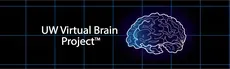 UW Virtual Brain Project hero image