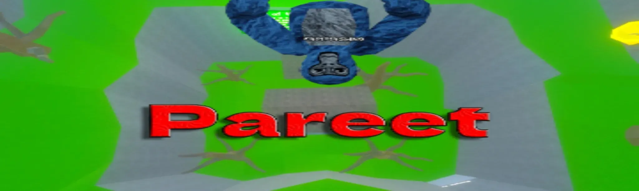 Pareet
