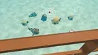 Fishing screenshot 1