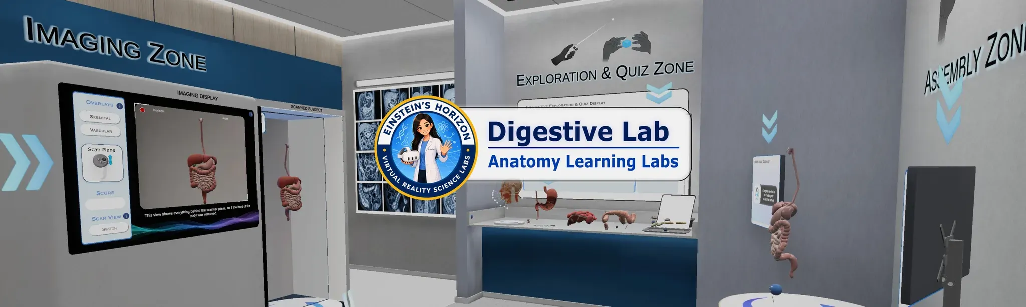 Anatomy Learning Labs: Digestive Lab