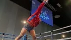 Golden Gloves screenshot 2