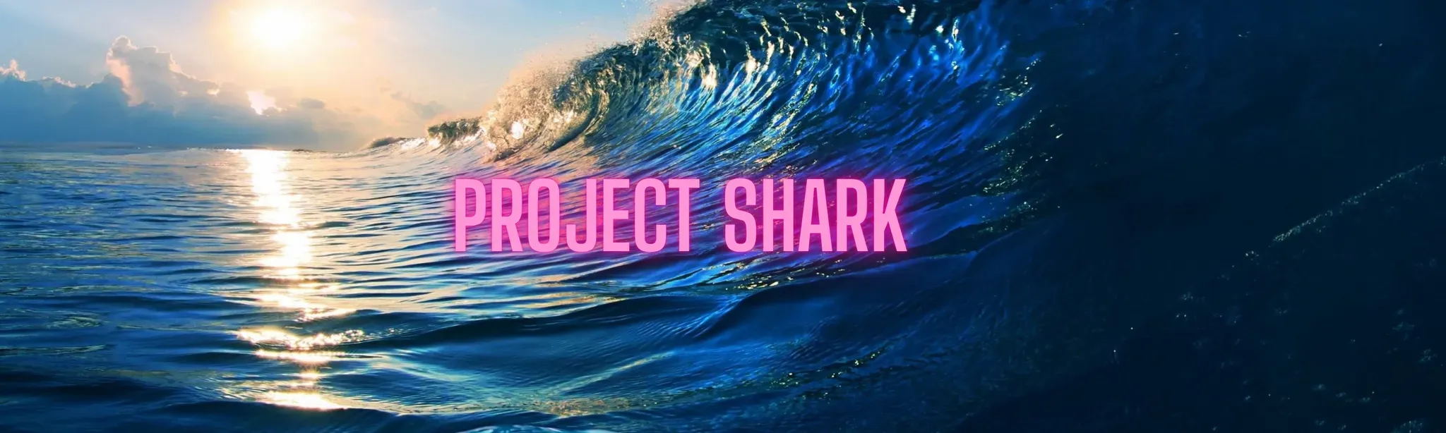 Project Shark