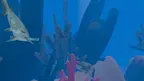 Fish Eating screenshot 3