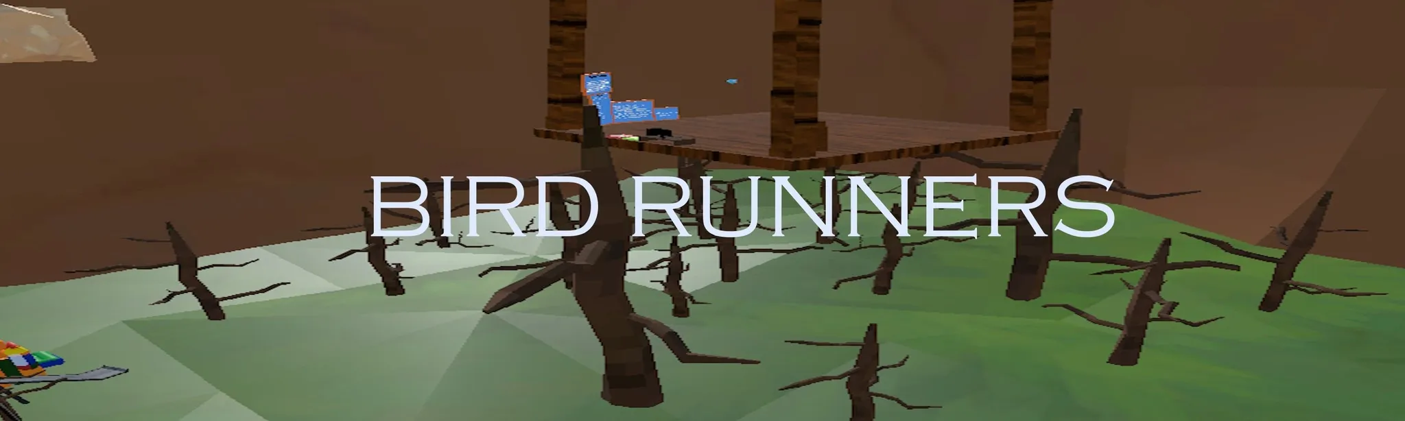 Bird Runners VR