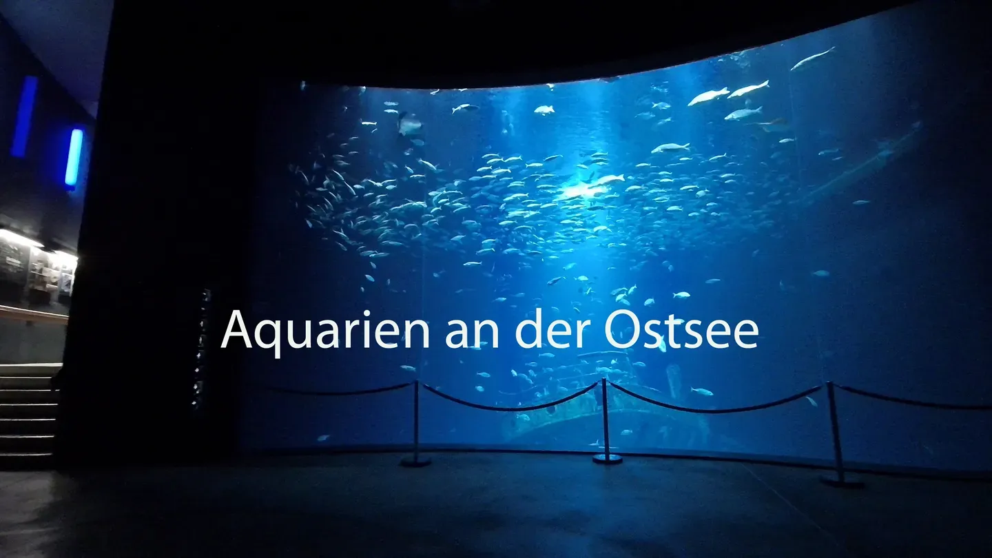 Aquariums on the Baltic Sea trailer 0