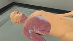 BioDigital Human screenshot 0