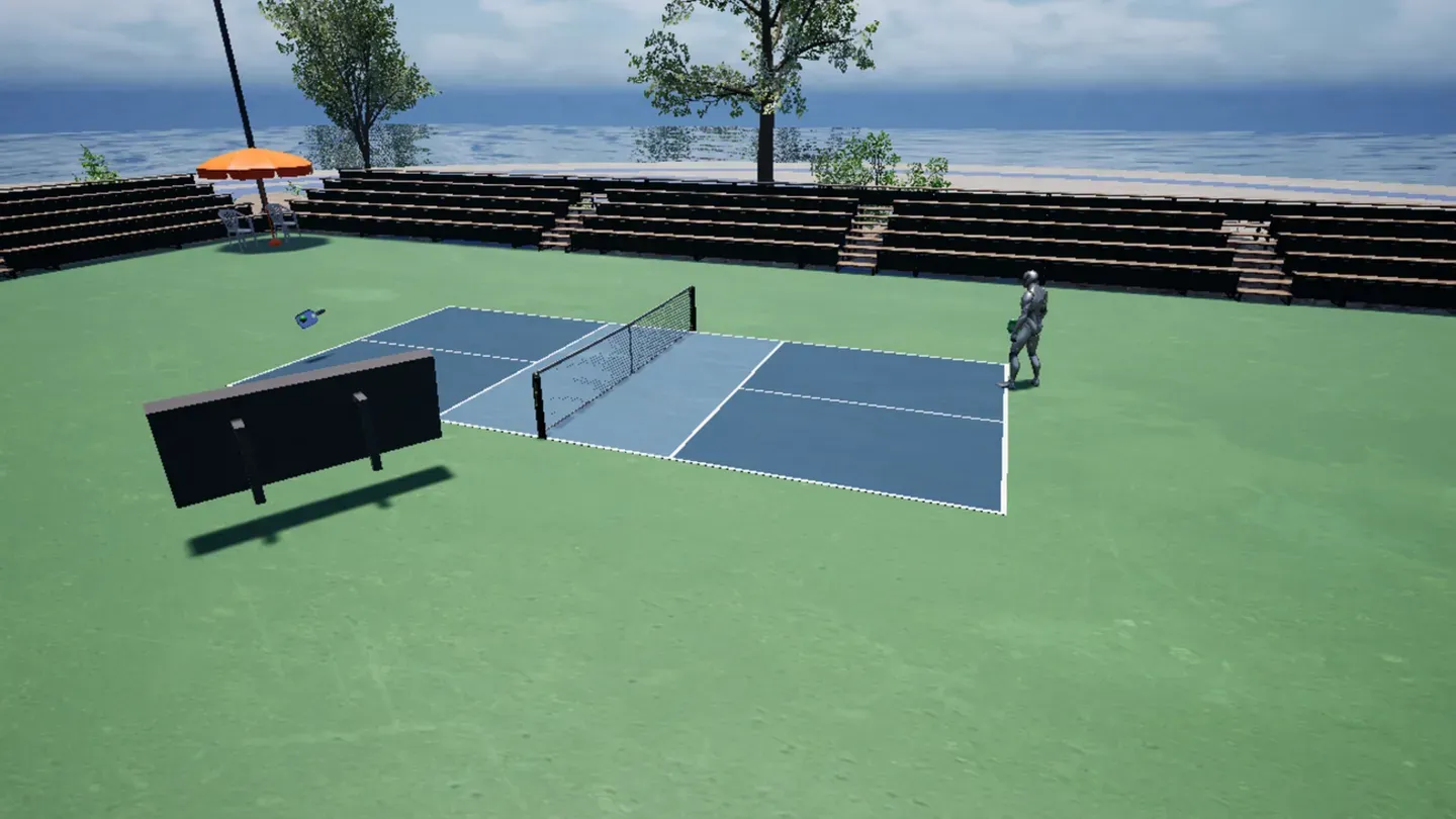 Pickle Ball Star cover image