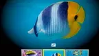 Aquarium Adventures screenshot 3