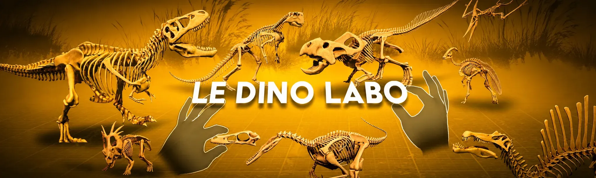 Le Dino Labo