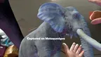 Jungle Zoo Ocean Passthrough Handtracking Demo screenshot 1