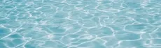 XRFishing hero image