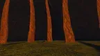 MONKEY TAG screenshot 4