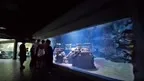 Aquariums Berlin screenshot 1