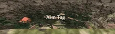 xim tag hero image