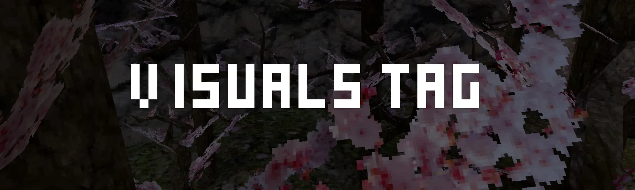 Visuals Tag