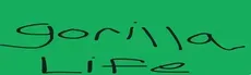 GorillaLife hero image