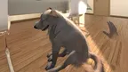 My puppy: Yellow Labrador screenshot 0