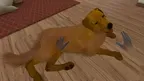 My puppy: Brown Labrador screenshot 3