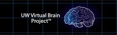 UW Virtual Brain Project hero image