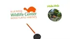 BRWC: Wood Turtle Habitats screenshot 0