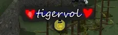 tigervol hero image