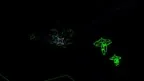 VekWars screenshot 2
