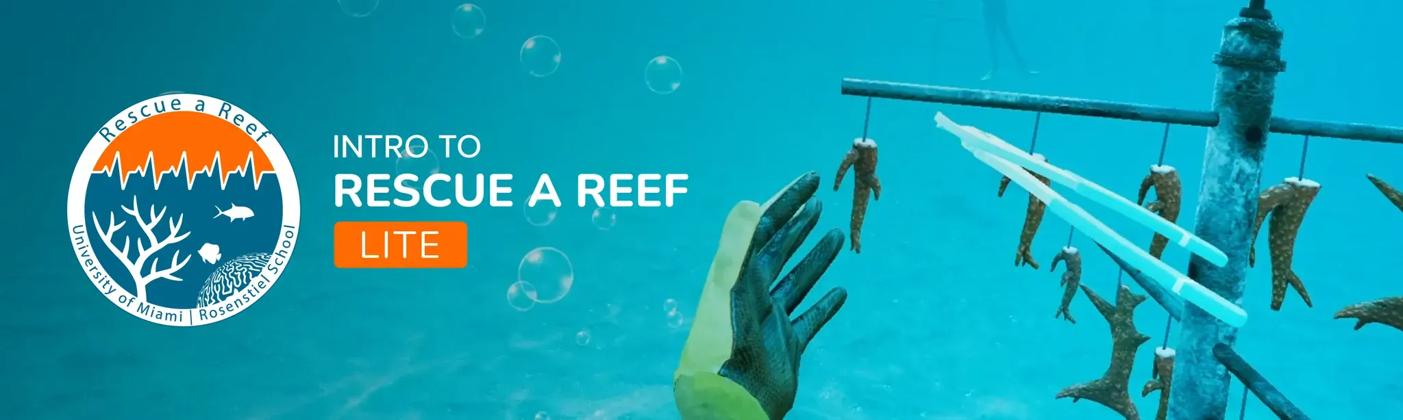 How to Rescue a Reef LITE