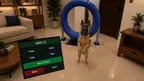 My MR Puppy screenshot 4