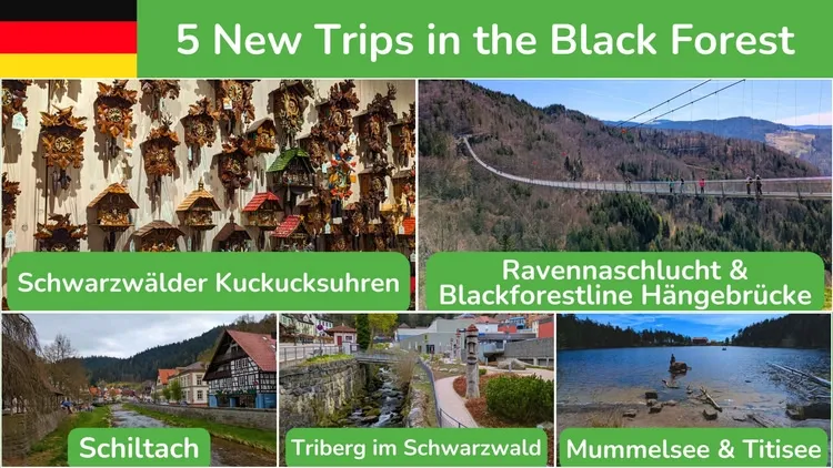 Developer update image for New German Trips | Cuckoo Clocks & the Charming Black Forest