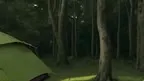 YogaScape screenshot 4