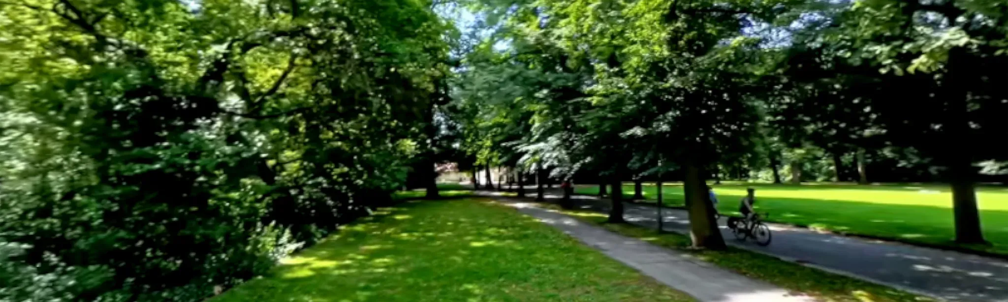 Walk in the Park 360°