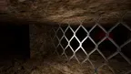 Spooky Chimp screenshot 0