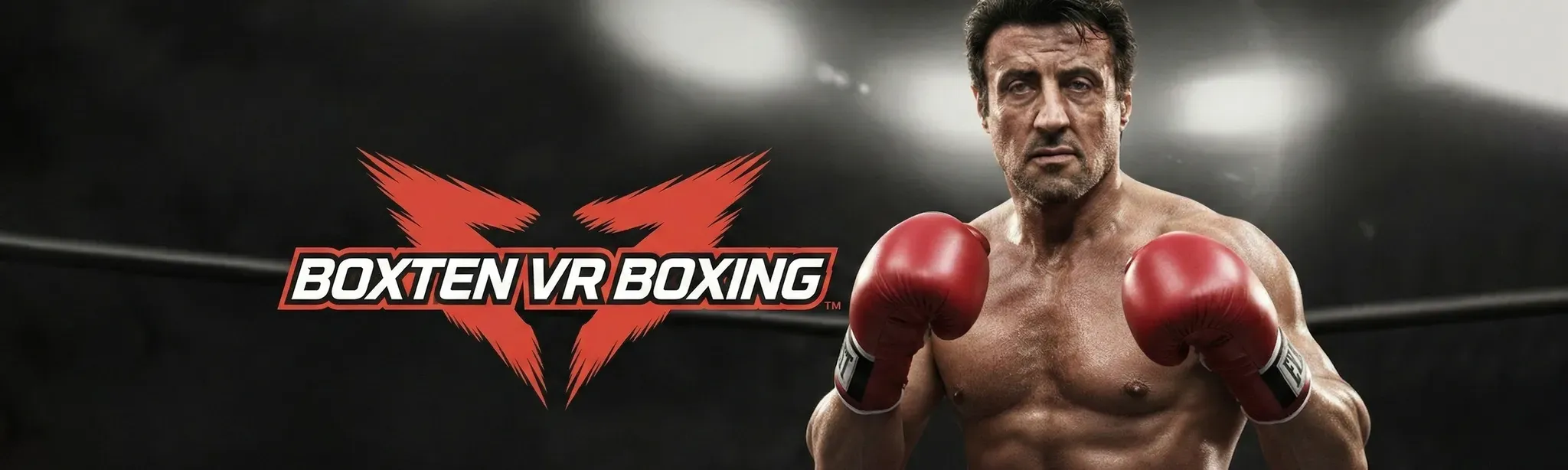 Boxten VR Boxing