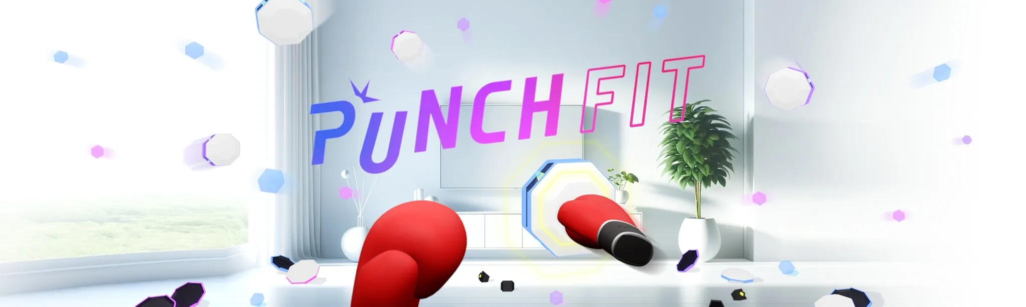 PUNCH FIT - MR Edition -