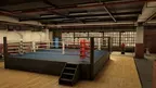 The Thrill of the Fight 2 screenshot 5