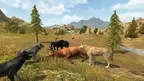 I Am Ultimate Alpha Wolf Quest Simulator screenshot 0