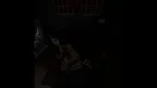 The Haunted APK screenshot 4