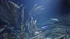 Aquariums on the Baltic Sea screenshot 2