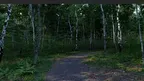 Forest - Oniri tech demo screenshot 4