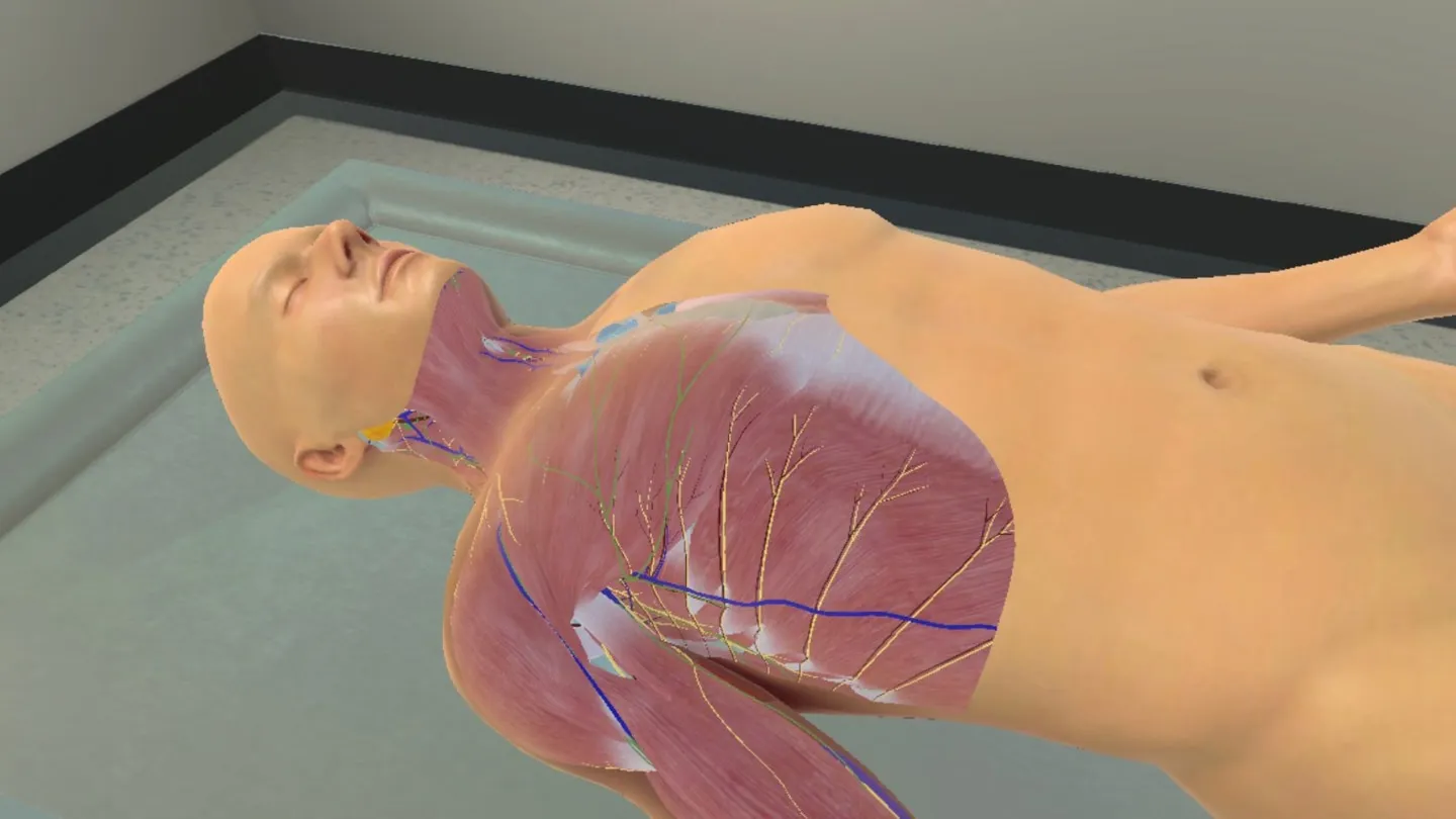BioDigital Human cover image