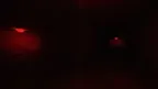 Scary Chimp screenshot 2