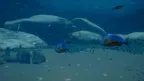 Marenostrum.VR screenshot 0