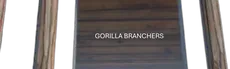 Gorilla Branchers hero image