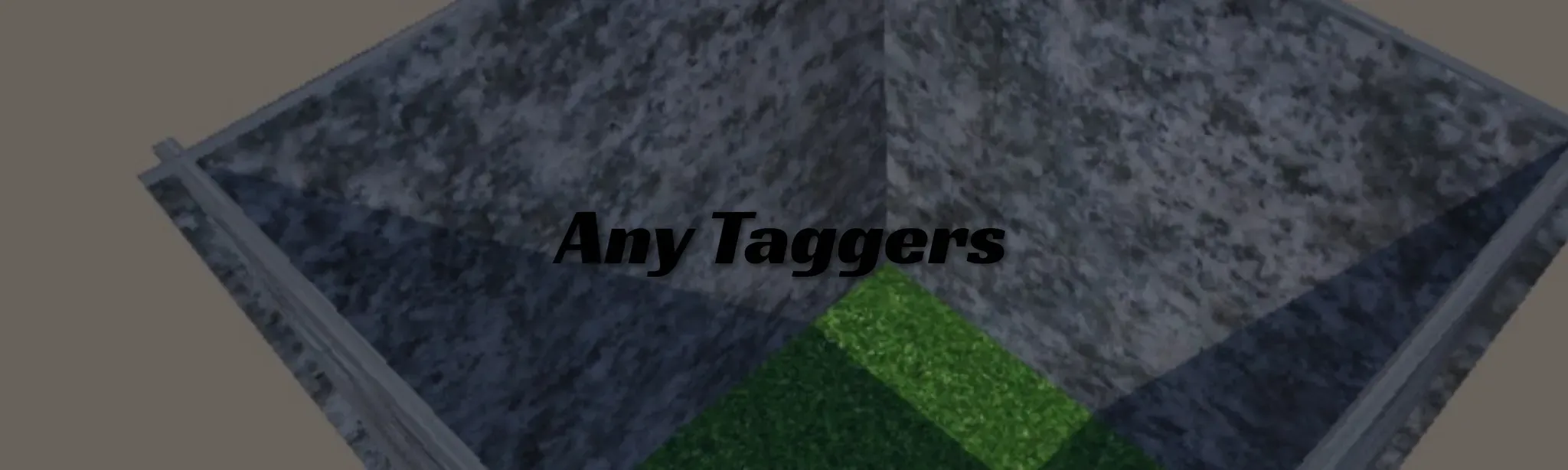 Any Taggers