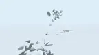 White Space screenshot 4