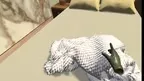 Vocational Training - Hotel Housekeeper screenshot 3