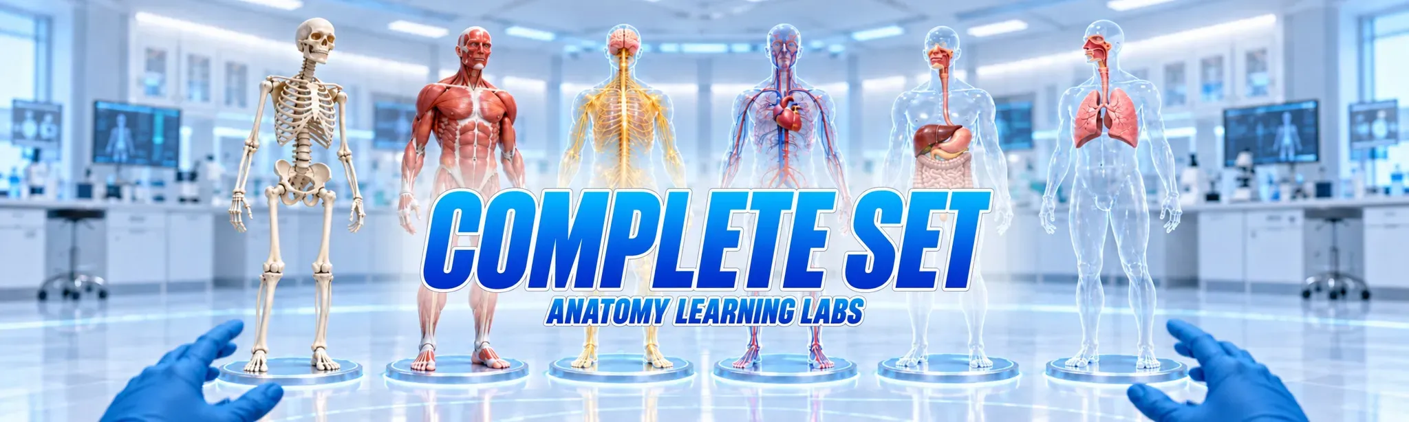Anatomy Learning Labs: Complete Set