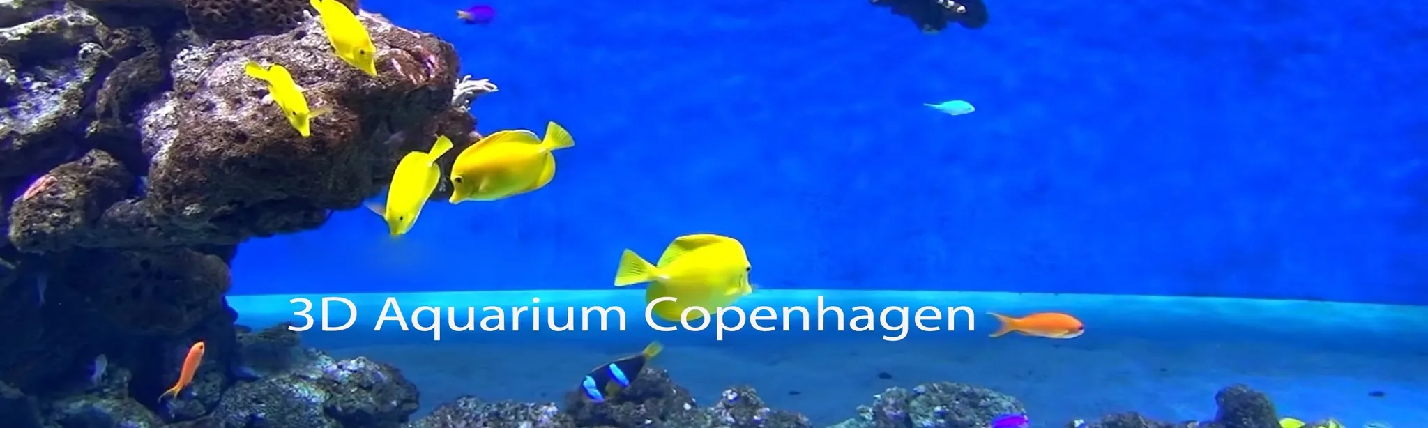 3D Aquarium Copenhagen