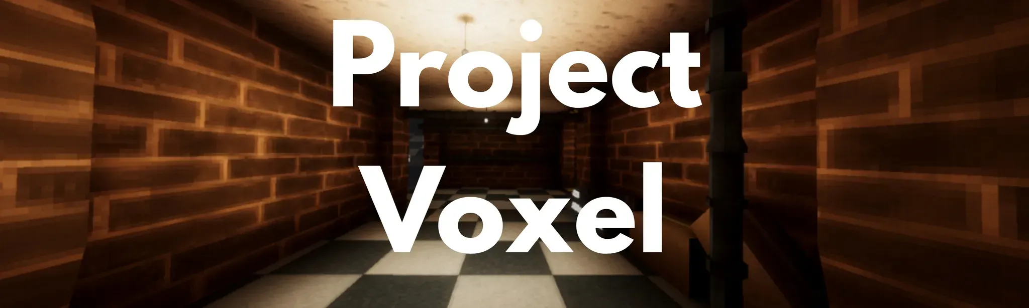 Project Voxel