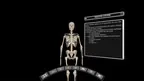 DeepAnatomy VR screenshot 1